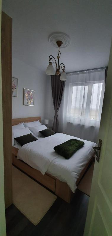 شقة Apartament Thea Făgăraş المظهر الخارجي الصورة