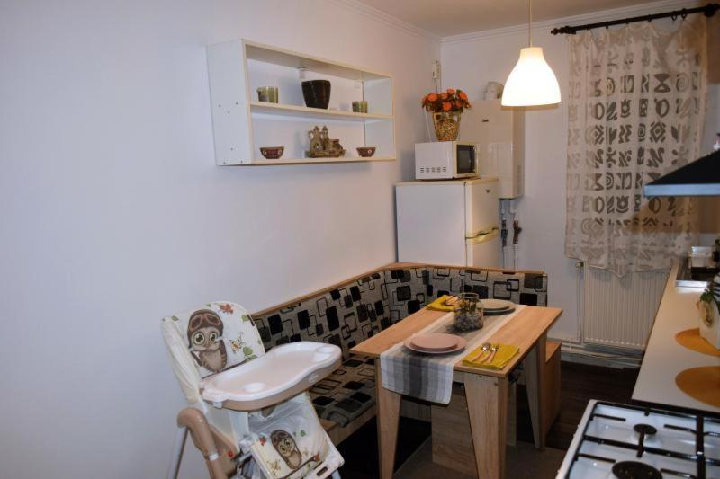 شقة Apartament Thea Făgăraş المظهر الخارجي الصورة
