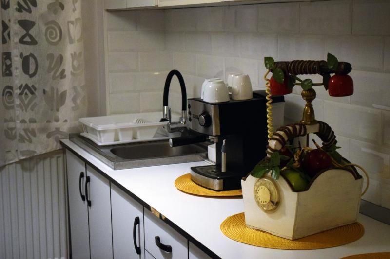 شقة Apartament Thea Făgăraş المظهر الخارجي الصورة
