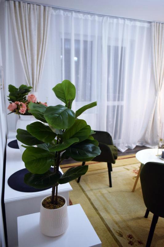 شقة Apartament Thea Făgăraş المظهر الخارجي الصورة