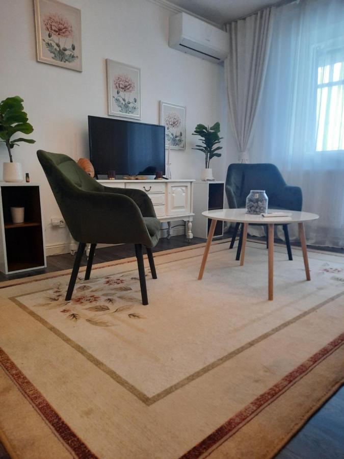 شقة Apartament Thea Făgăraş المظهر الخارجي الصورة